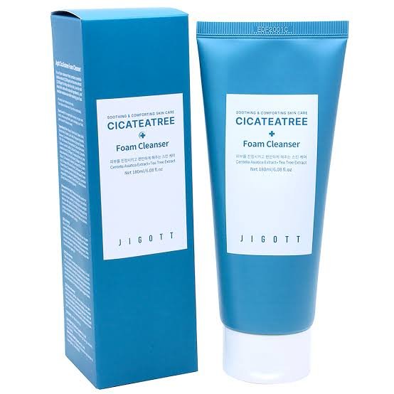 Jigott cica tea tree foam cleanser